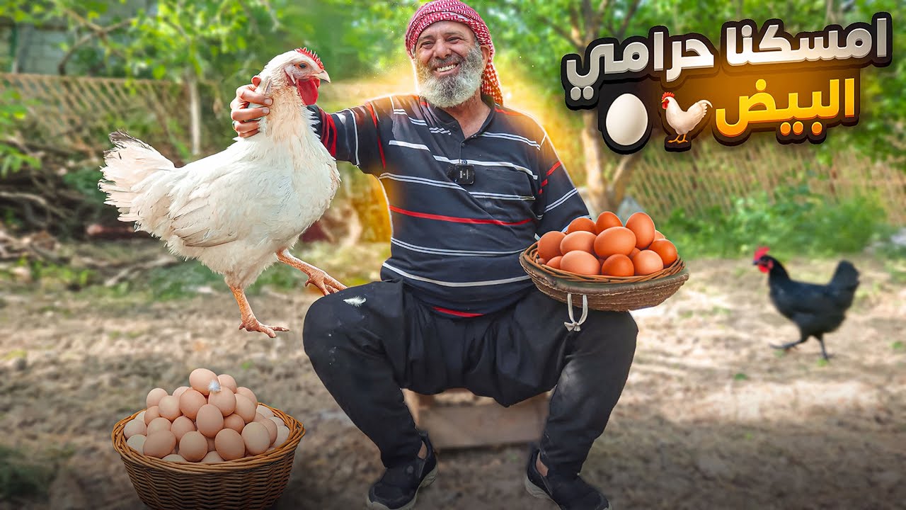 اخيرا كشفنا اللغز لماذا يتم سرقة بيض الدجاج وكيف سنصنع العجة الحلبية بدونه ؟؟ طبخات رمضان