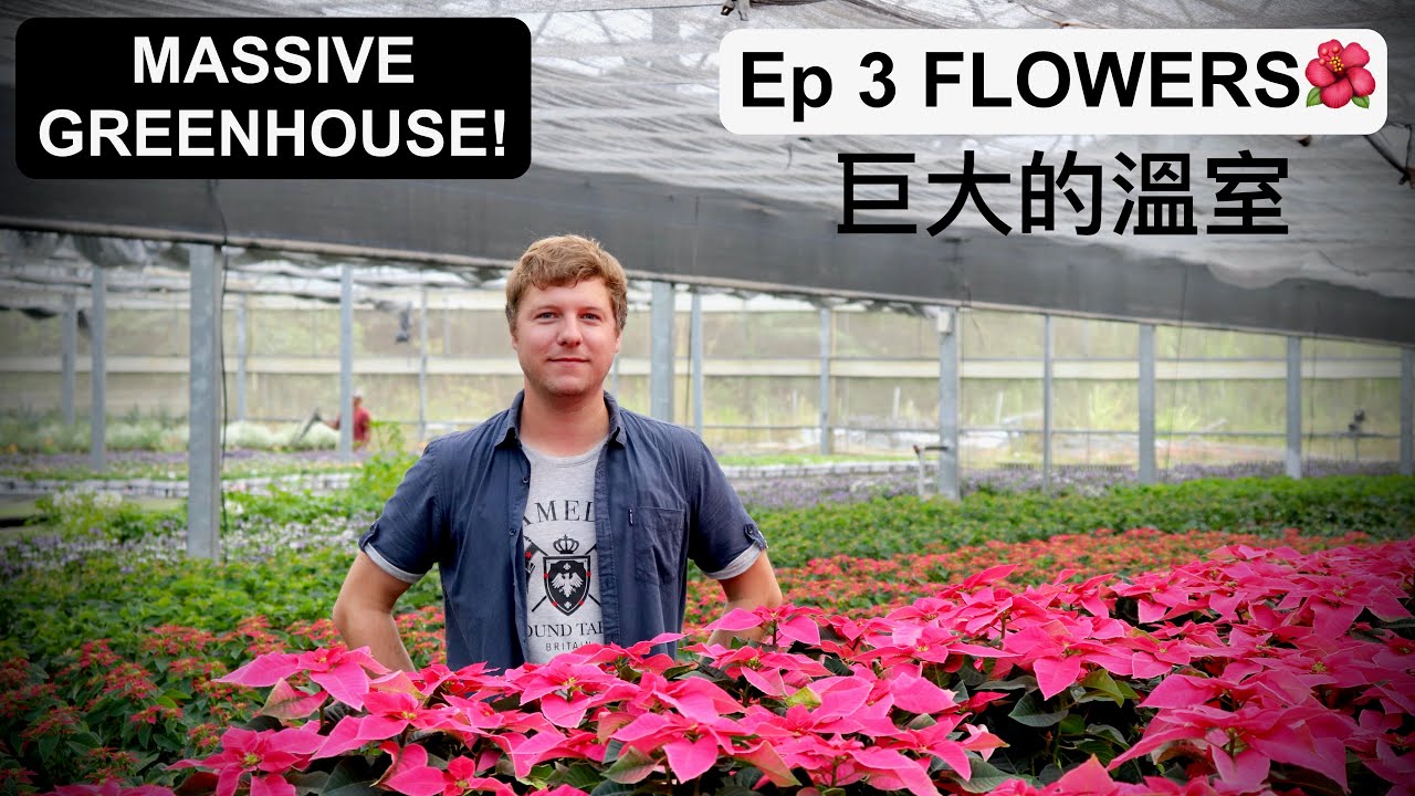 百花齊放：新台灣之光 | PULI&rsquo;S FLOWER PARADISE 🌺
