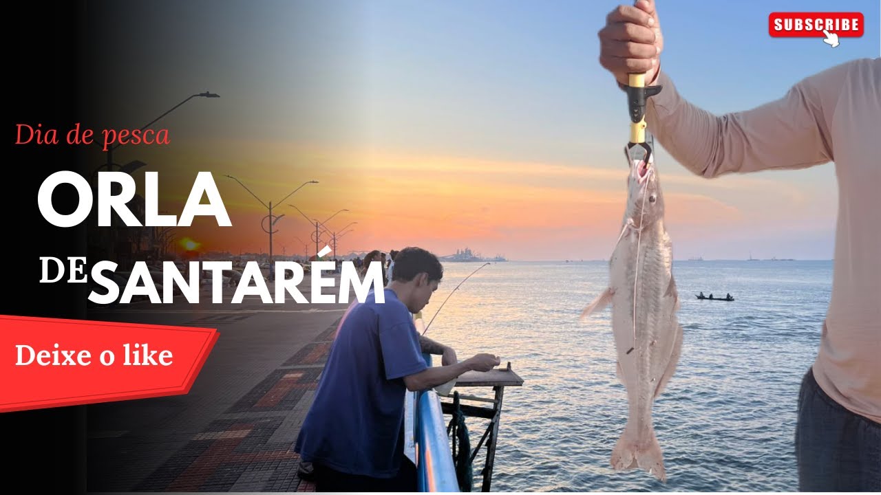 CAPITAL DA PESCA; ORLA DE SANTARÉM - PÁ  #santarem #pescaria #viral