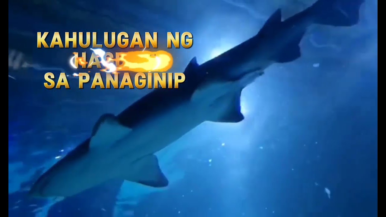 KAHULUGAN NG HAGDAN SA PANAGINIP