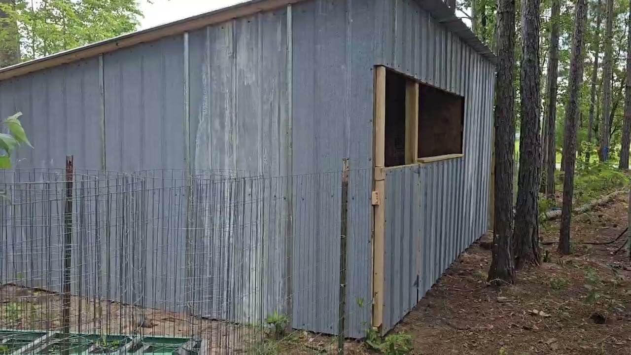 Trail cam: building the feed shed and donkey cave