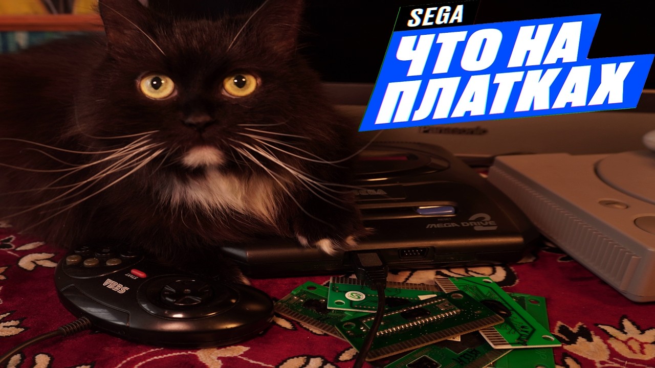 Что на платках СЕГА? Какие игры я нашел на SEGA в этом месяце?