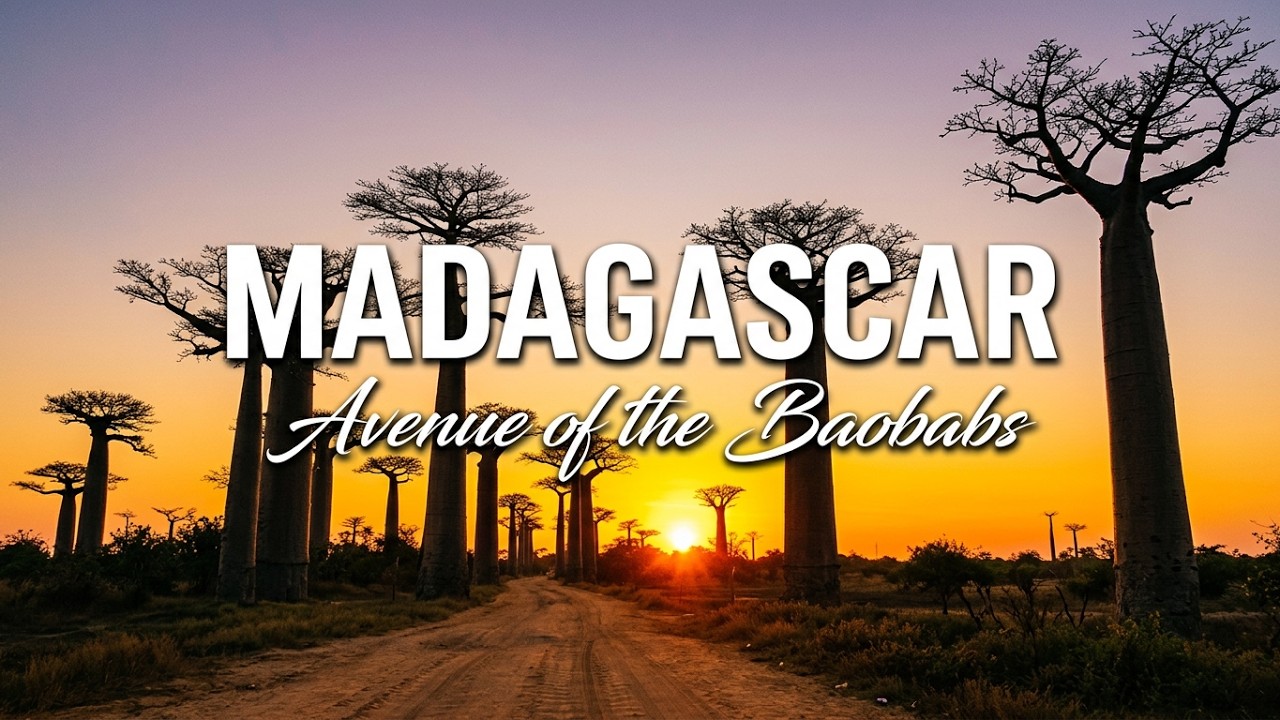 Madagascar Adventure: Chasing Sunset Through the Legendary Baobab Alley