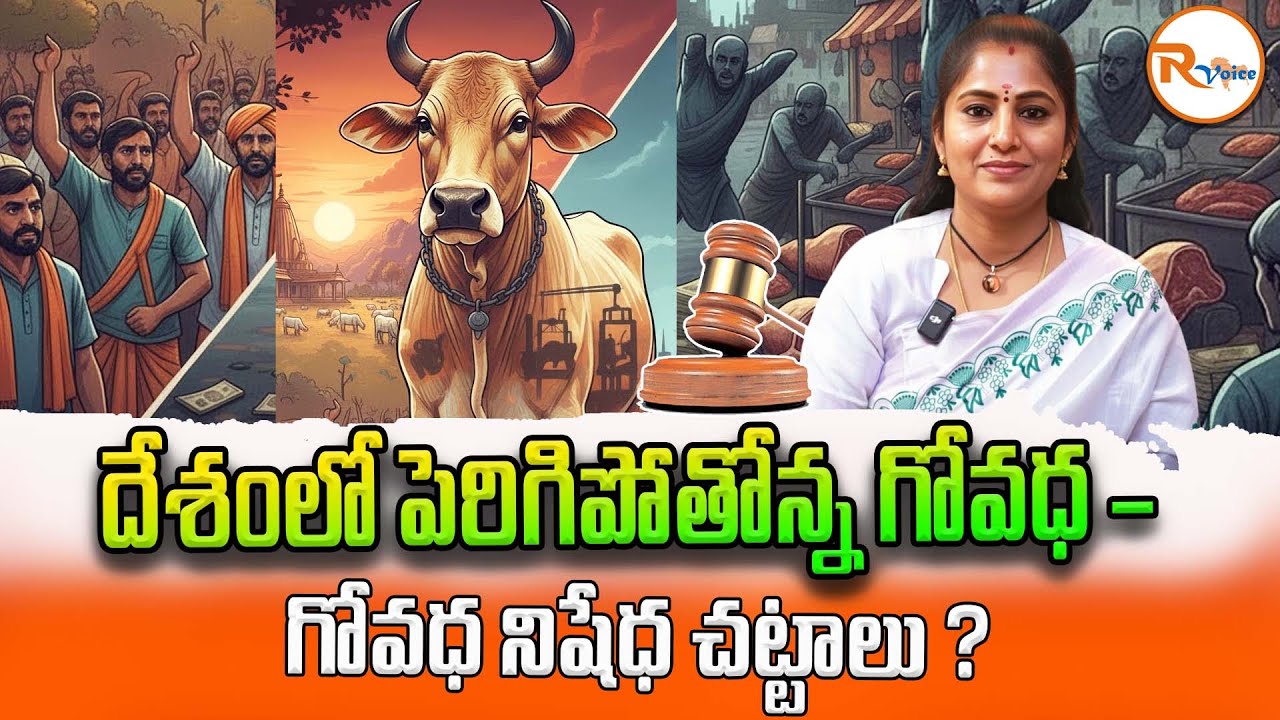 దేశంలో పెరిగిపోతోన్న గోవధ – గోవధ నిషేధ చట్టాలు ? | Cow Slaughter | Cow Protection | Gau Raksha Laws