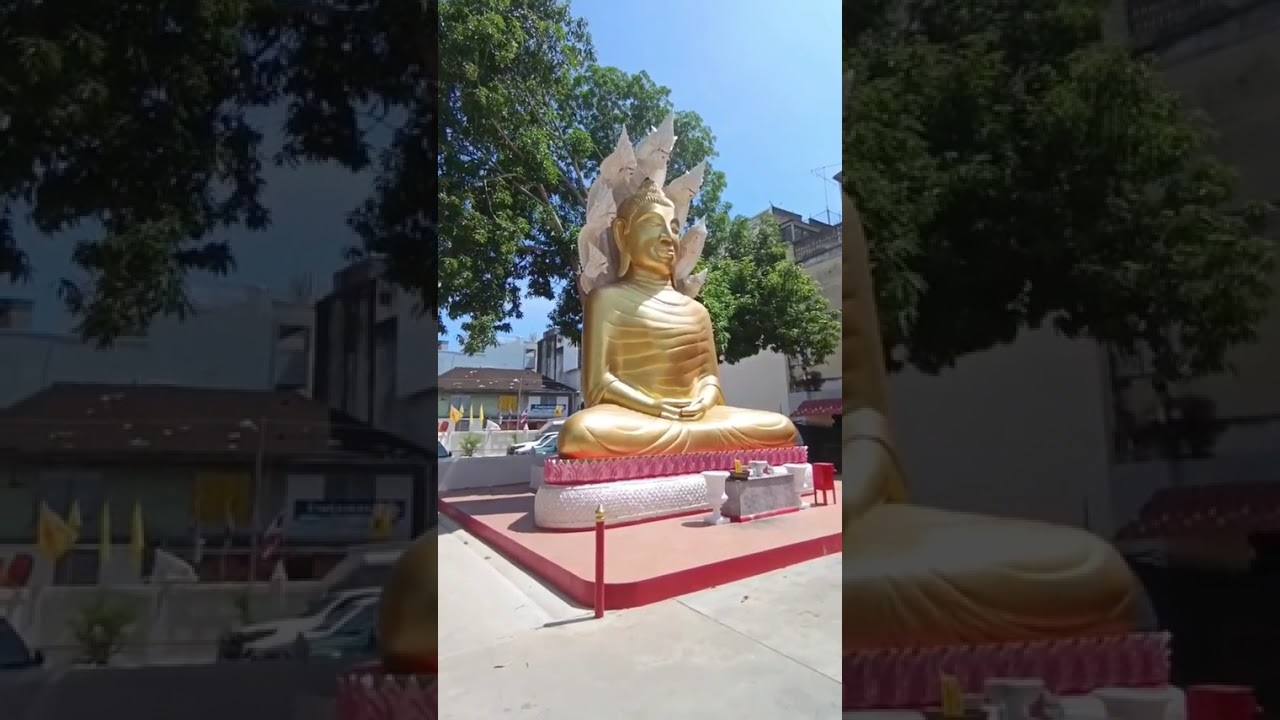 СВЕКРОВЬ ТРЕБУЕТ 