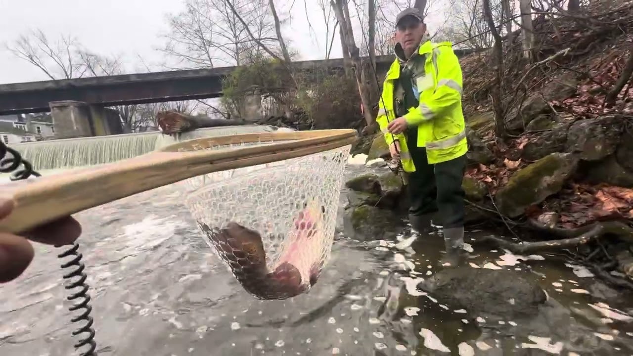 We Had Best Day Of Trout Fishing!!! PEQUEST RIVER,  NJ  - 4 / 6 / 2025