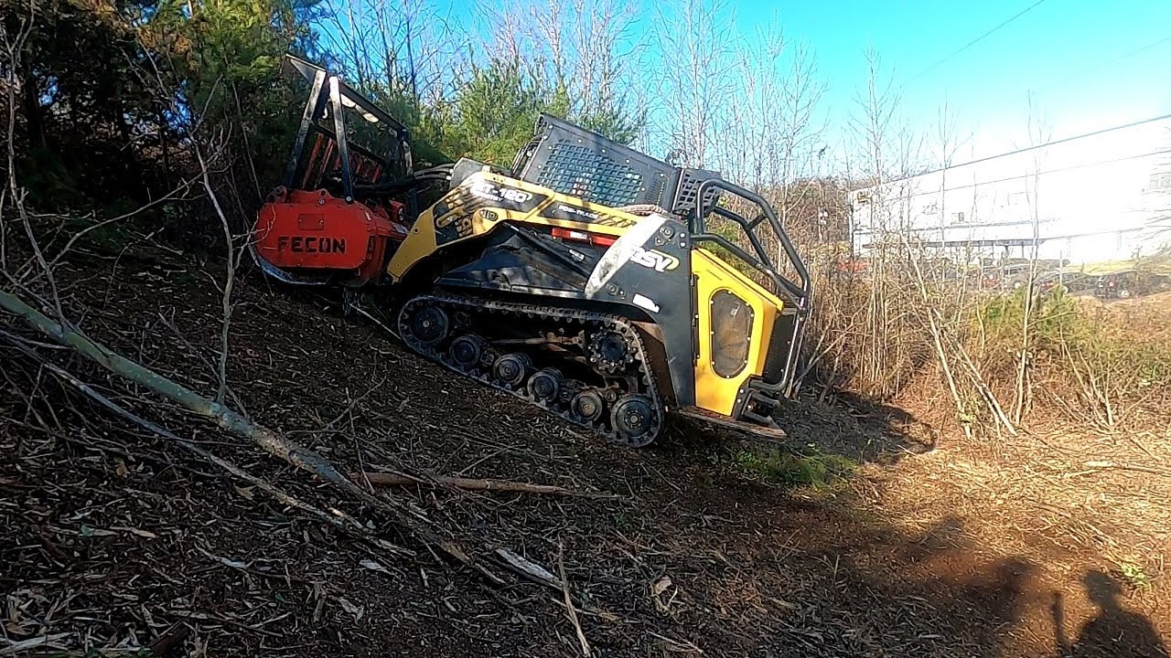 Forestry Mulching along the Highway