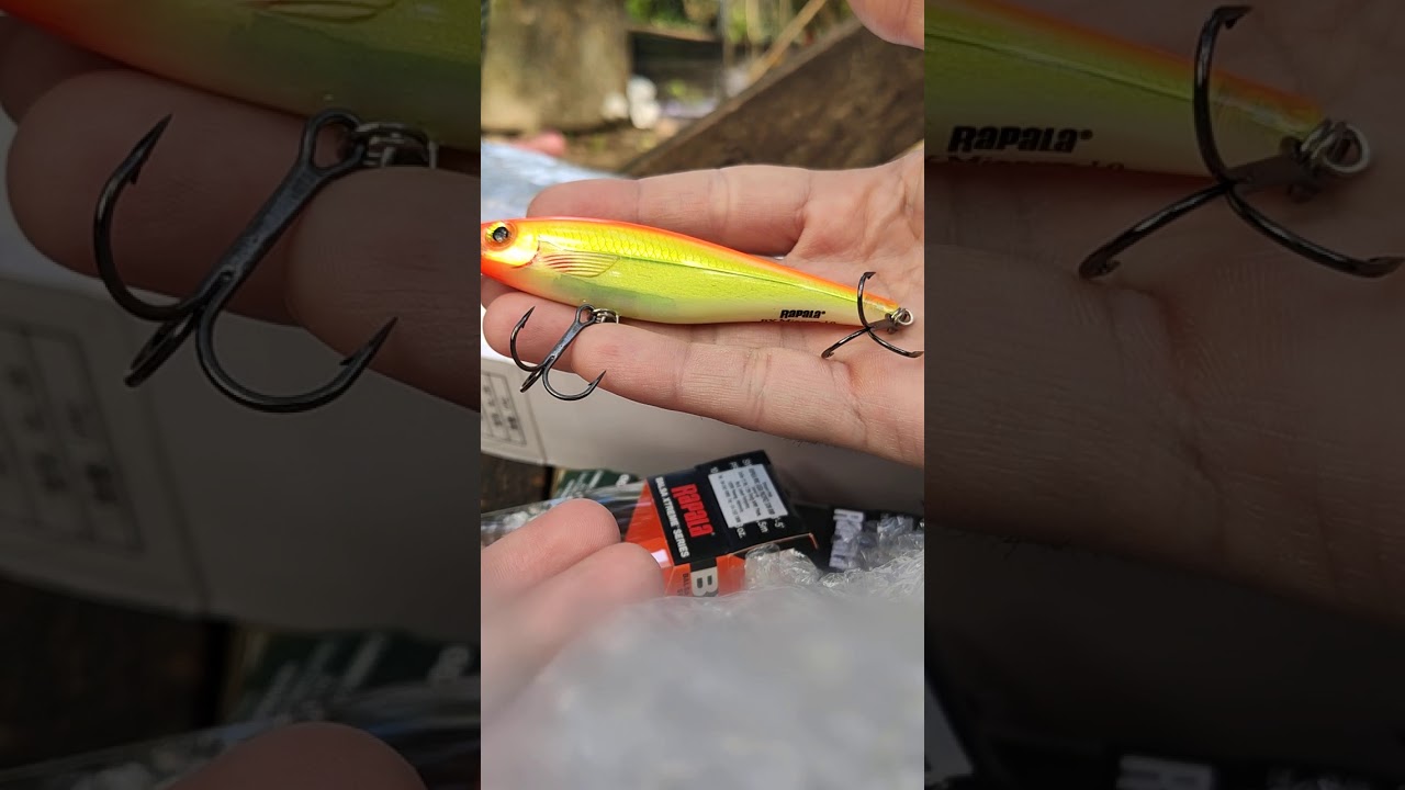 Rapala BX Minnow BXM-10