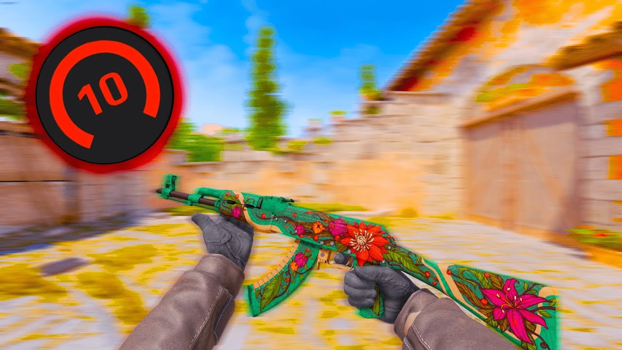donk sens + 144 Hz | Faceit lvl 10