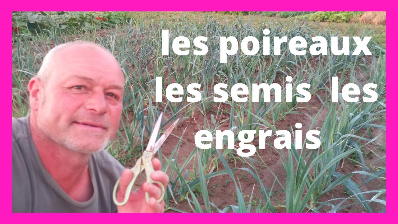 les poireaux : semis , plantation , engrais et taillage .