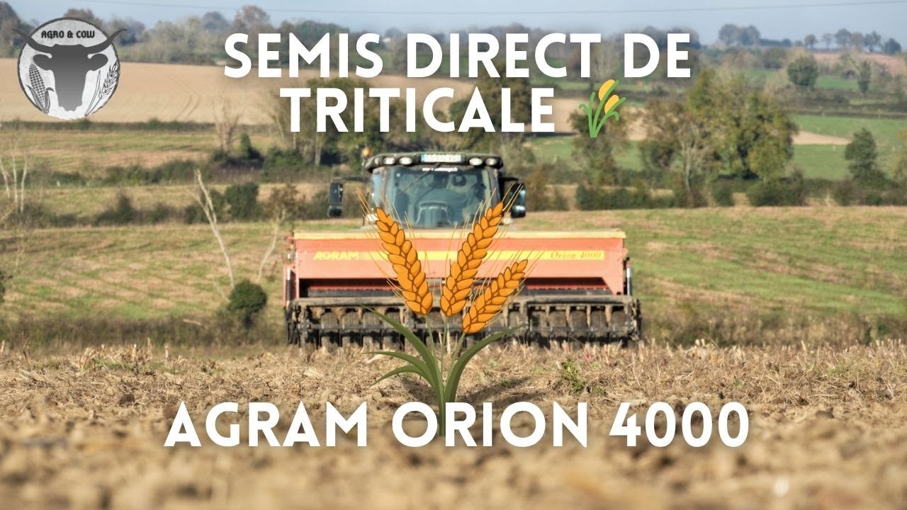 SEMIS DIRECT DE TRITICALE (Semoir Agram Orion 4000)
