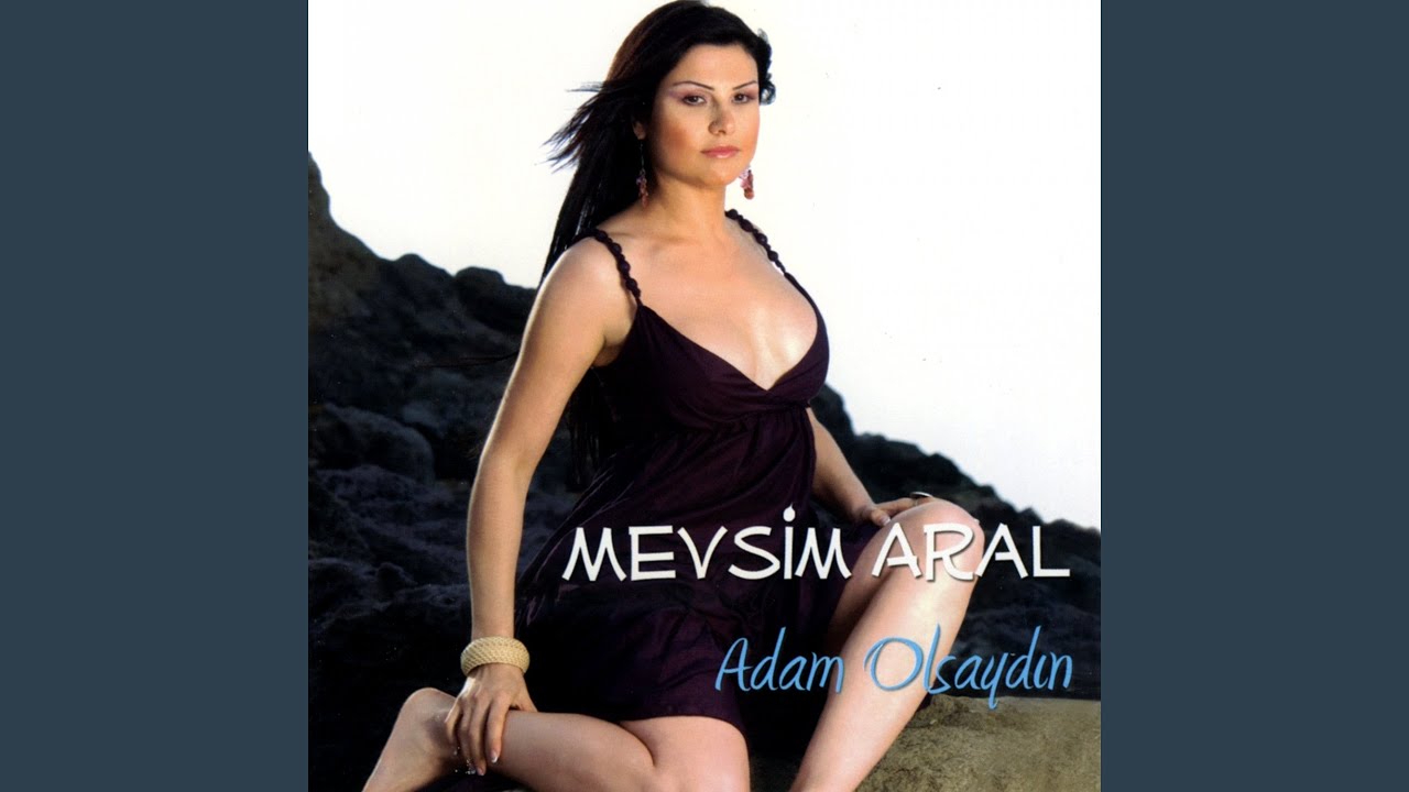 Senin Hasretin