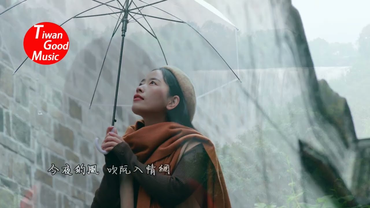 傷過心的人-林姍主唱張國振翻唱