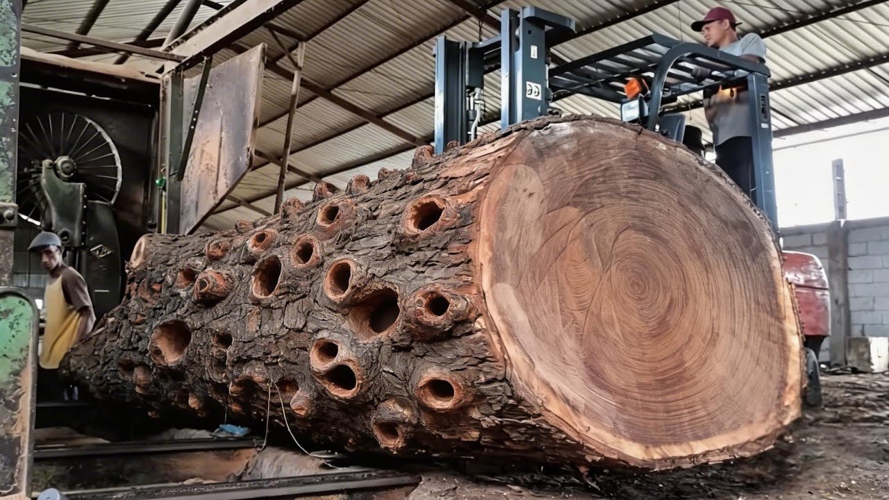 The initial process of sawing exotic wood with special dense fibers