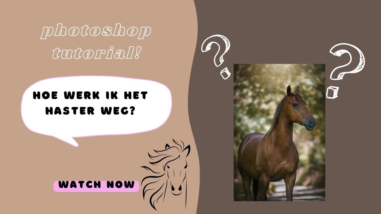 -paardenfotografie-  halster wegwerken