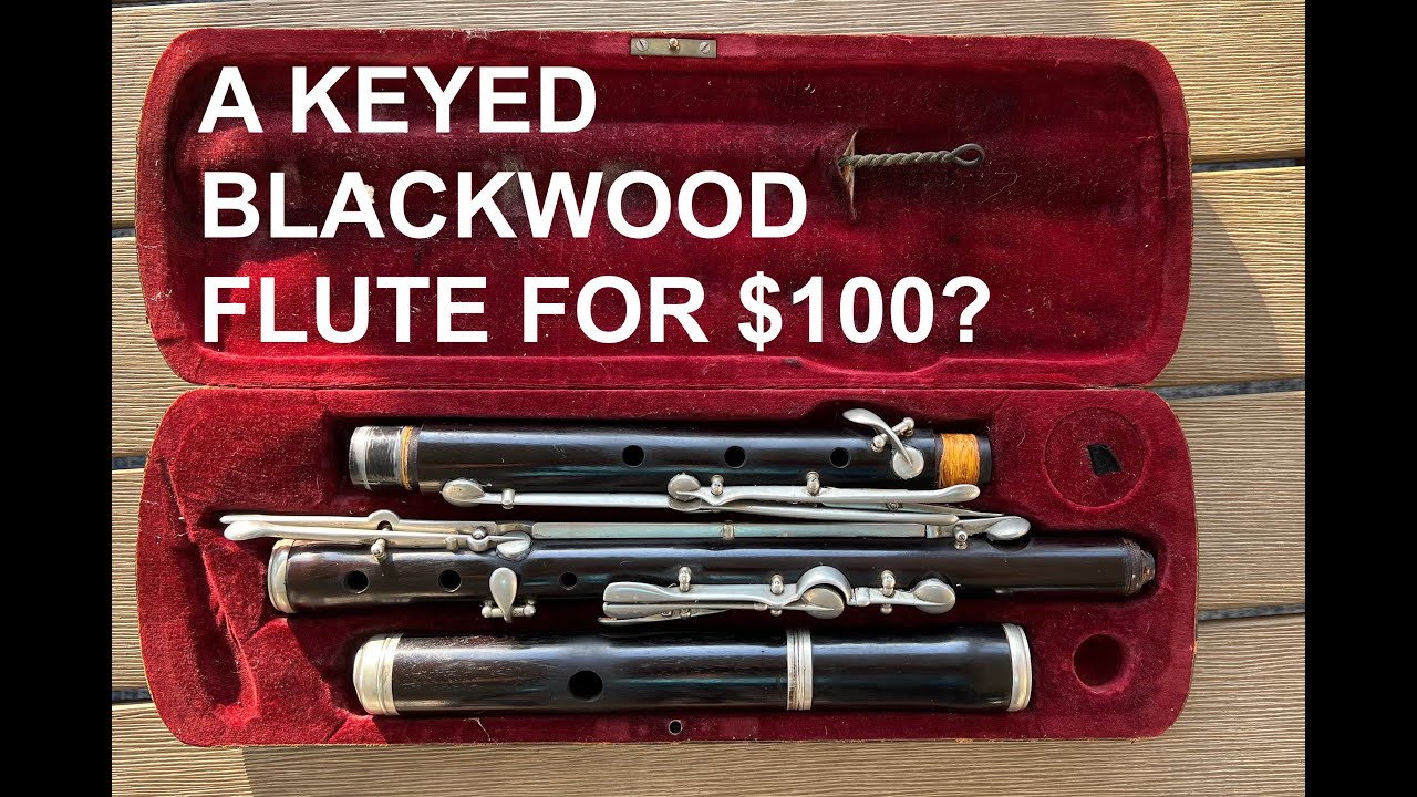 A Keyed Blackwood Irish Flute for $100? The Nach Meyer flute in 5 minutes