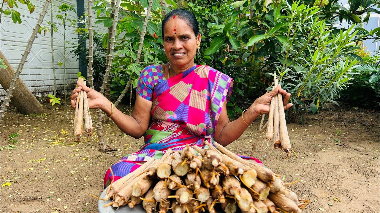 எங்க வீட்ல இவ்வளவு பனங்கிழங்கு புடுங்க போறோம்..#viral 