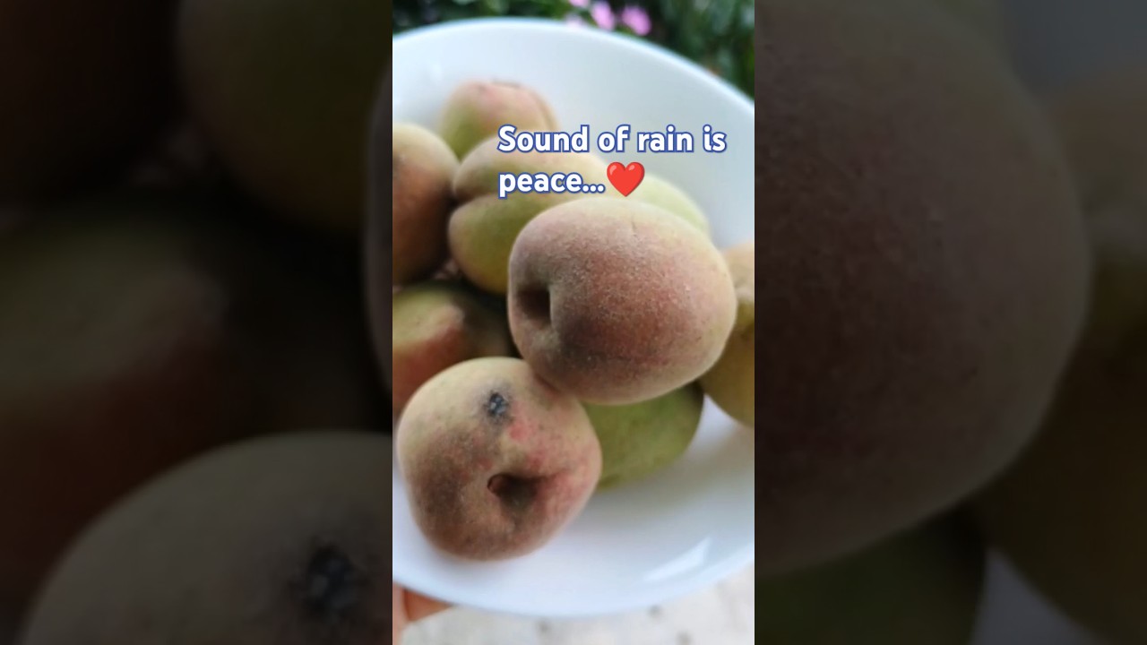 #freshfruits #assam #food #shorts #viralvideo