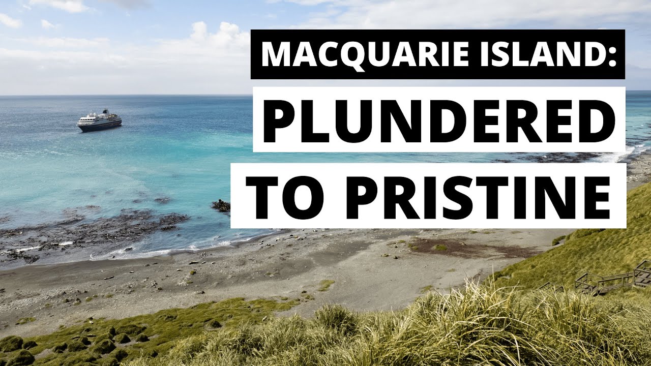 Macquarie Island: Plundered to Pristine - The Remarkable Story of Macca