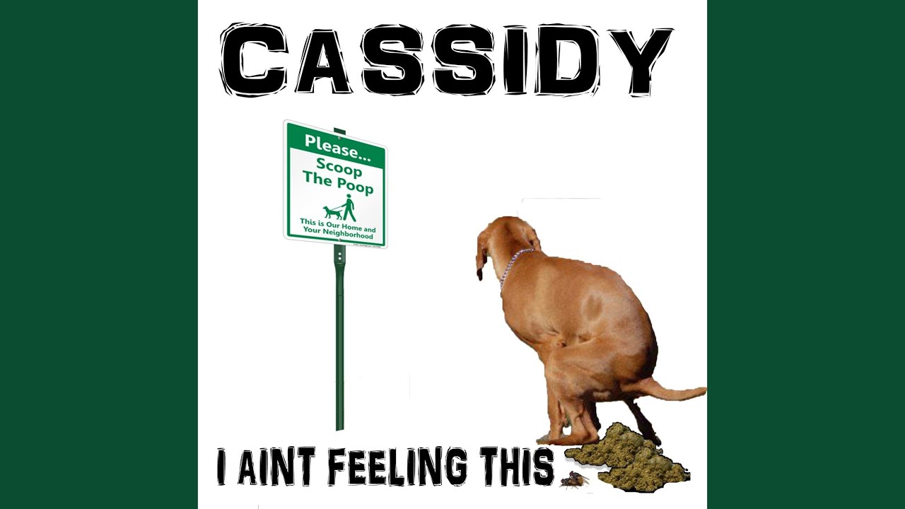 I Aint Feelin This Shit
