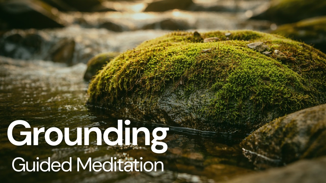 Come Back to the Ground — A Stress Reset