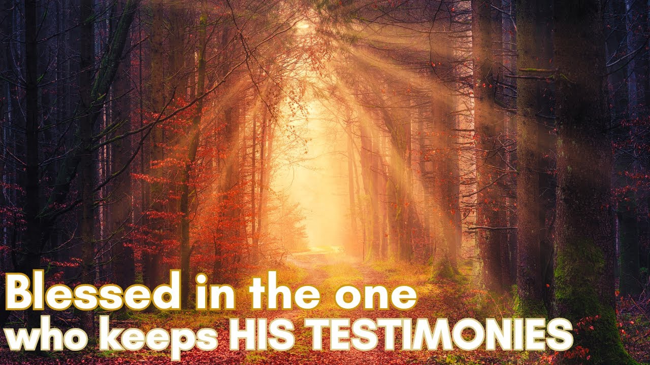Psalm 119 | Part 1 | Blessed are they that keep His Testimonies