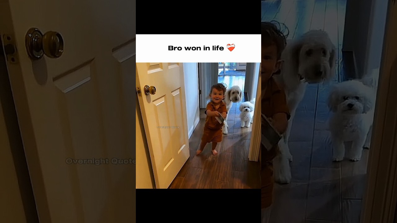 Bro won in life ❤️&zwj;🩹 #motivation #trendingshorts #billionaire #success #money