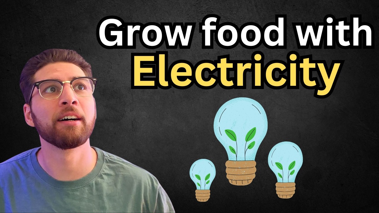 Artificial Photosynthesis and the Next Green Revolution | Journal Club