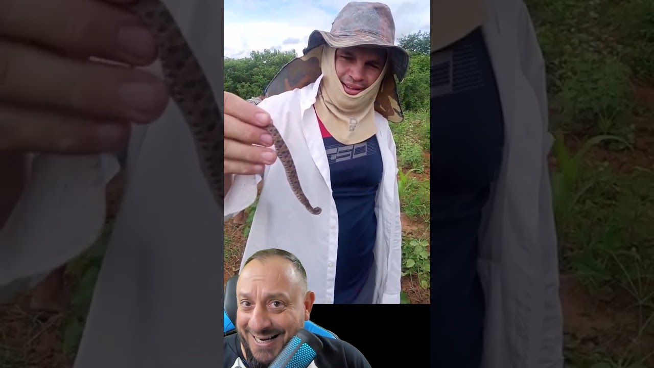Pegou Cobra jararaca na mão sem saber?