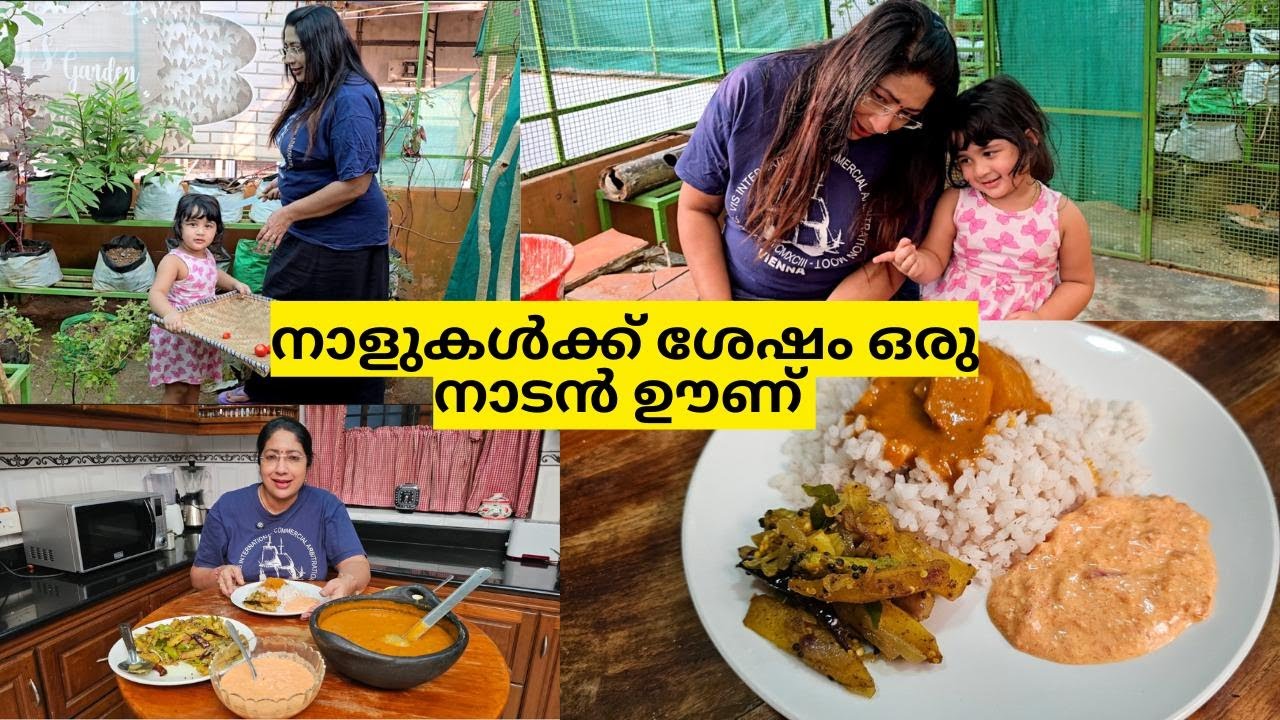 നാടൻ ഊണും പിന്നെ ഉം കിളി കുഞ്ഞുങ്ങളും  | വറുത്തരച്ച സാമ്പാറും വാഴത്തനങ്ങ കായ് ഉപ്പേരി ഉള്ളി പച്ചടി