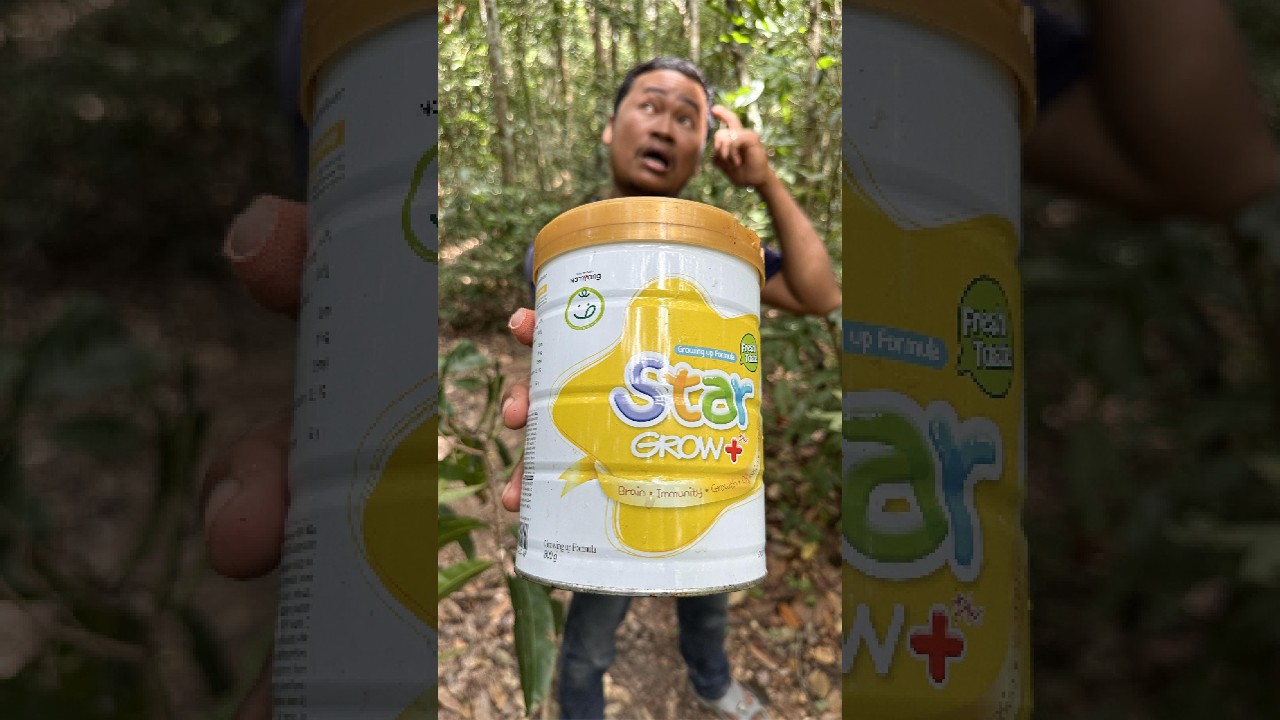 LifeHacks for Camping Survival in the Forest