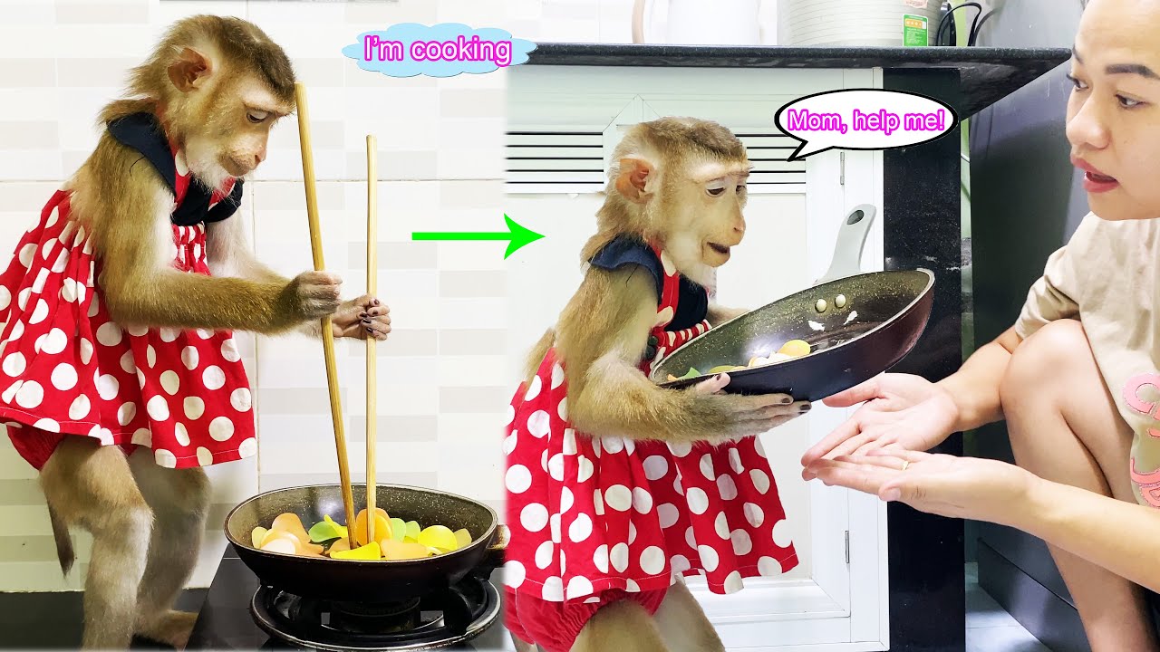 Monkey Lyly was hungry and went to the kitchen to cook and invited her mother to enjoy it.
