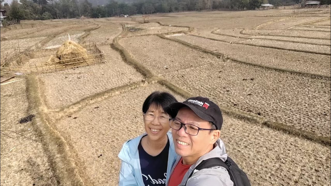 The brownest paddy field after harvest, resting quietly under the open sky.