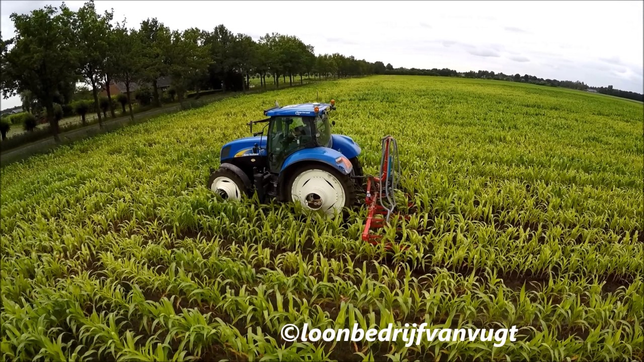 Mais schoffelen 2016 van vugt New-Holland T6030 en  6 rijige schoffelmachine van Vugt Maren-Kessel