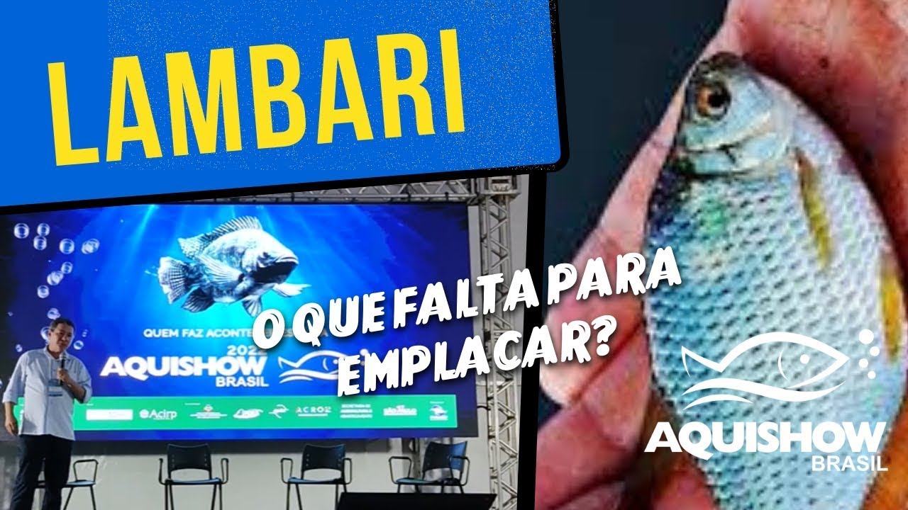 LAMBARI: Escute experi&ecirc;ncias PR&Aacute;TICAS de quem atua com a esp&eacute;cie (PALESTRA F&aacute;bio Sussel na Integra!)
