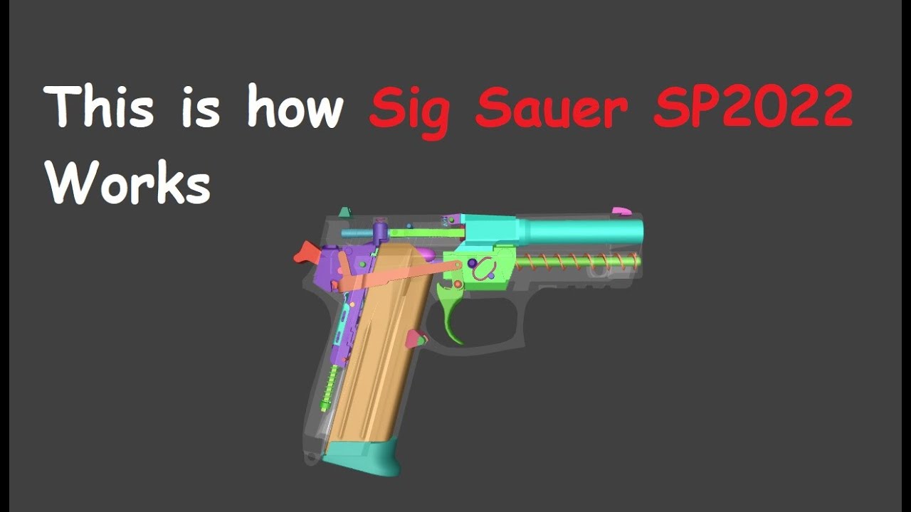 This is how Sig Sauer SP2022 Works | WOG |