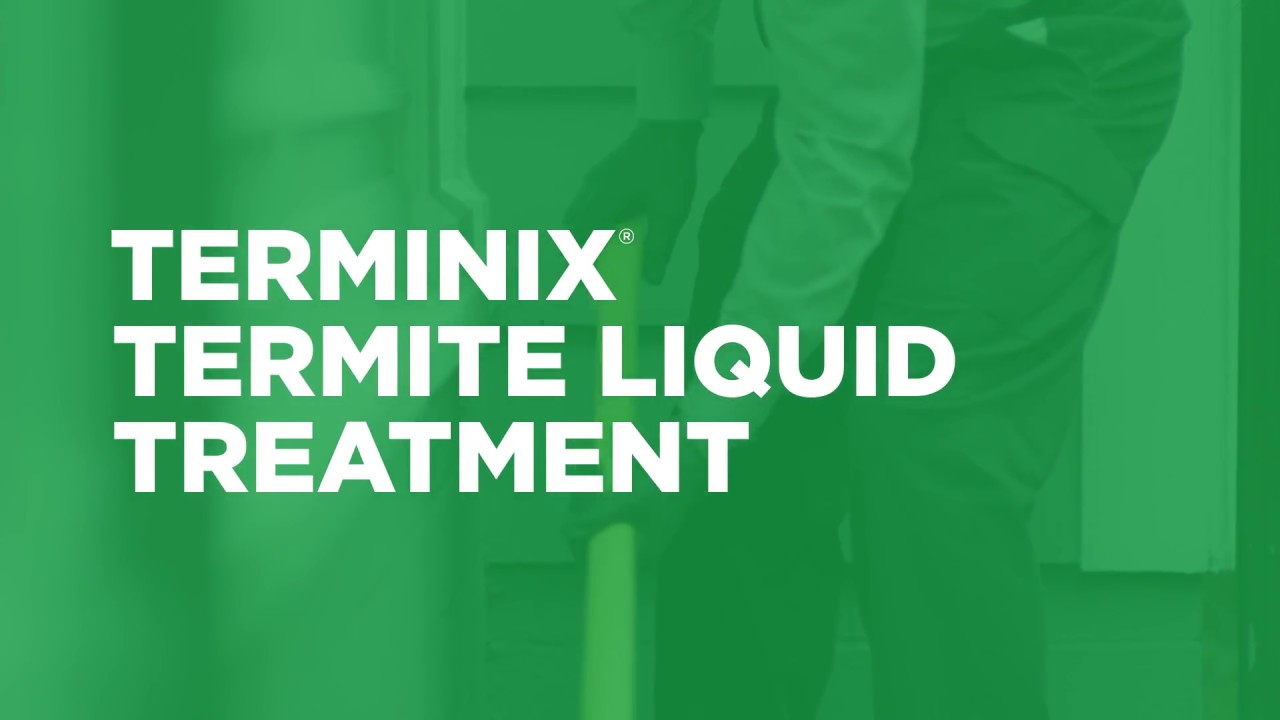 Liquid Termite Treatment: How Does It Work?