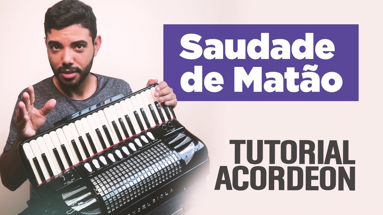SAUDADE DE MATÃO - ACORDEON