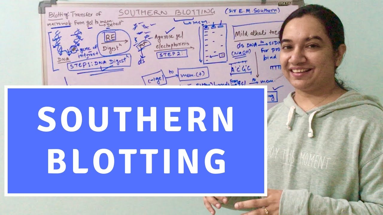 Southern Blotting | Southern Blotting Technique | Southern Blotting Procedure -CSIR NET Life Science