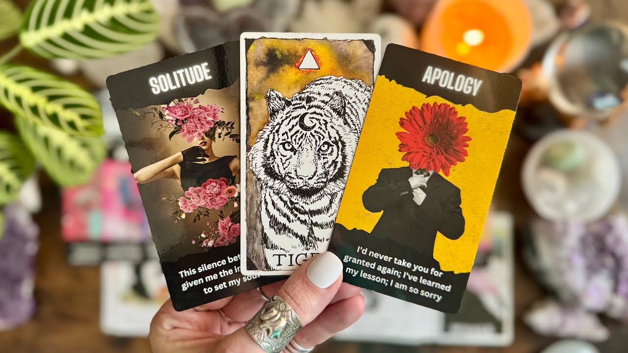 You are healing your chaser energy, and now the tables are turning! 🐅🐅 Timeless LOVE Reading 🐅🐅