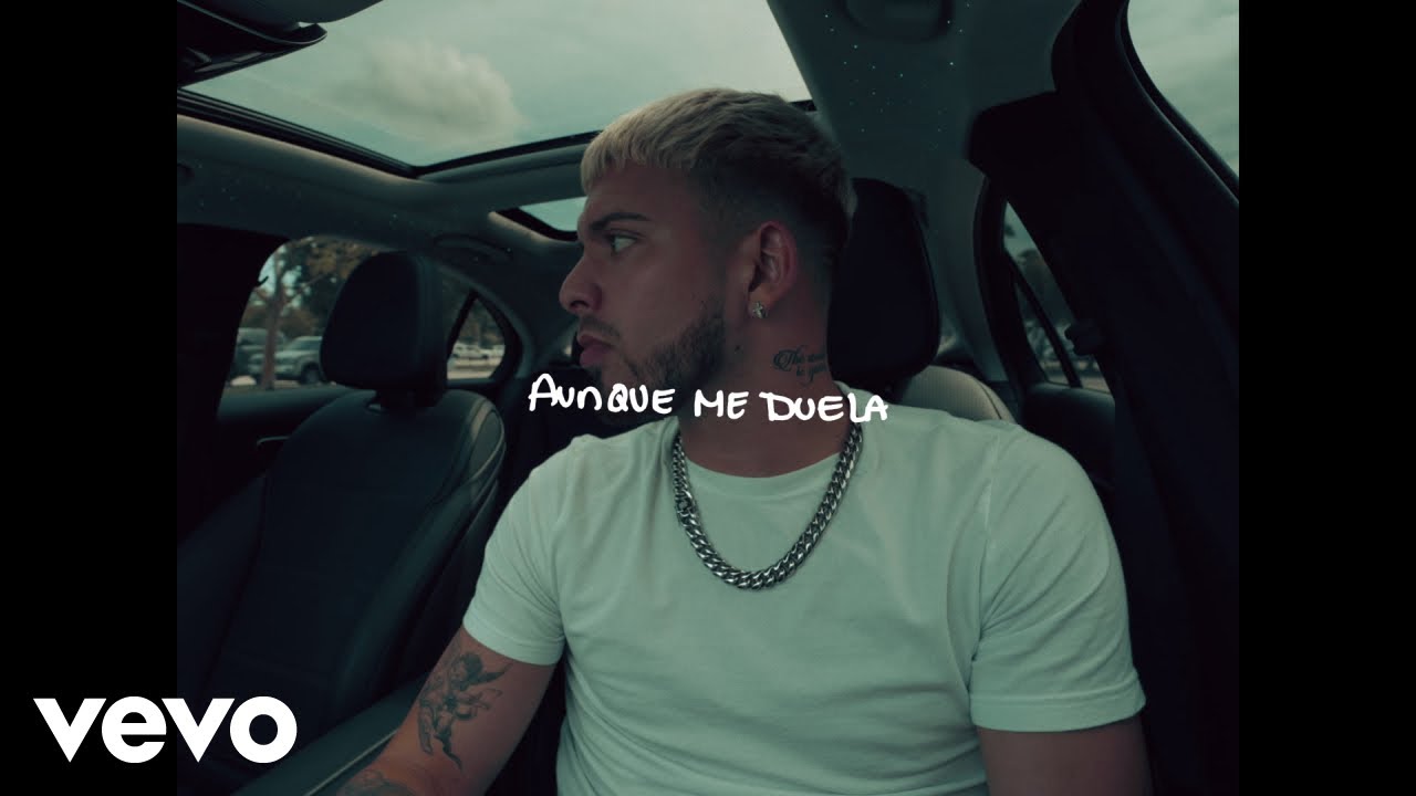 Gonzy - AUNQUE ME DUELA (Visualizer) (Official)