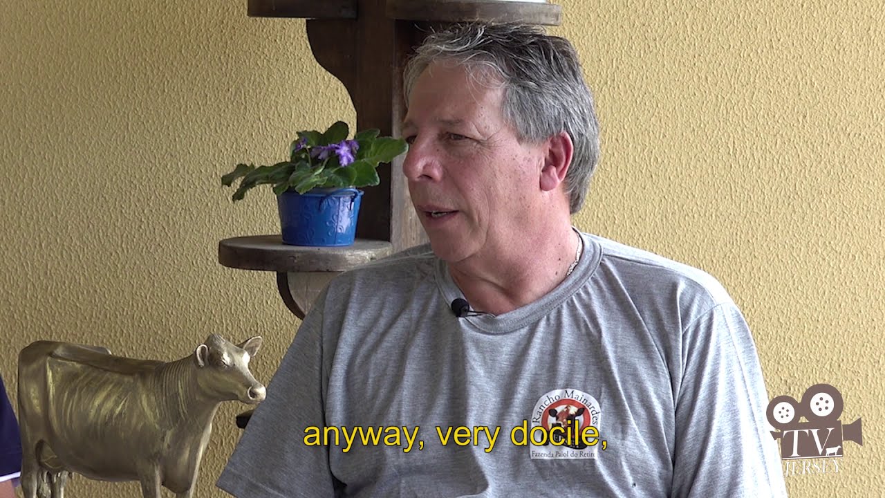 A RA&Ccedil;A JERSEY NO BRASIL