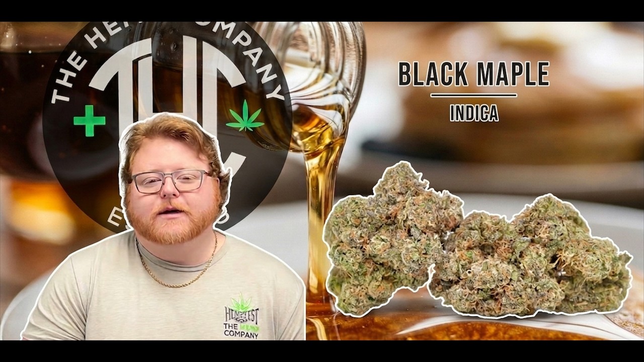 Обзор сорта Black Maple: сладкий, пикантный вкус или просто успокаивающий эффект?