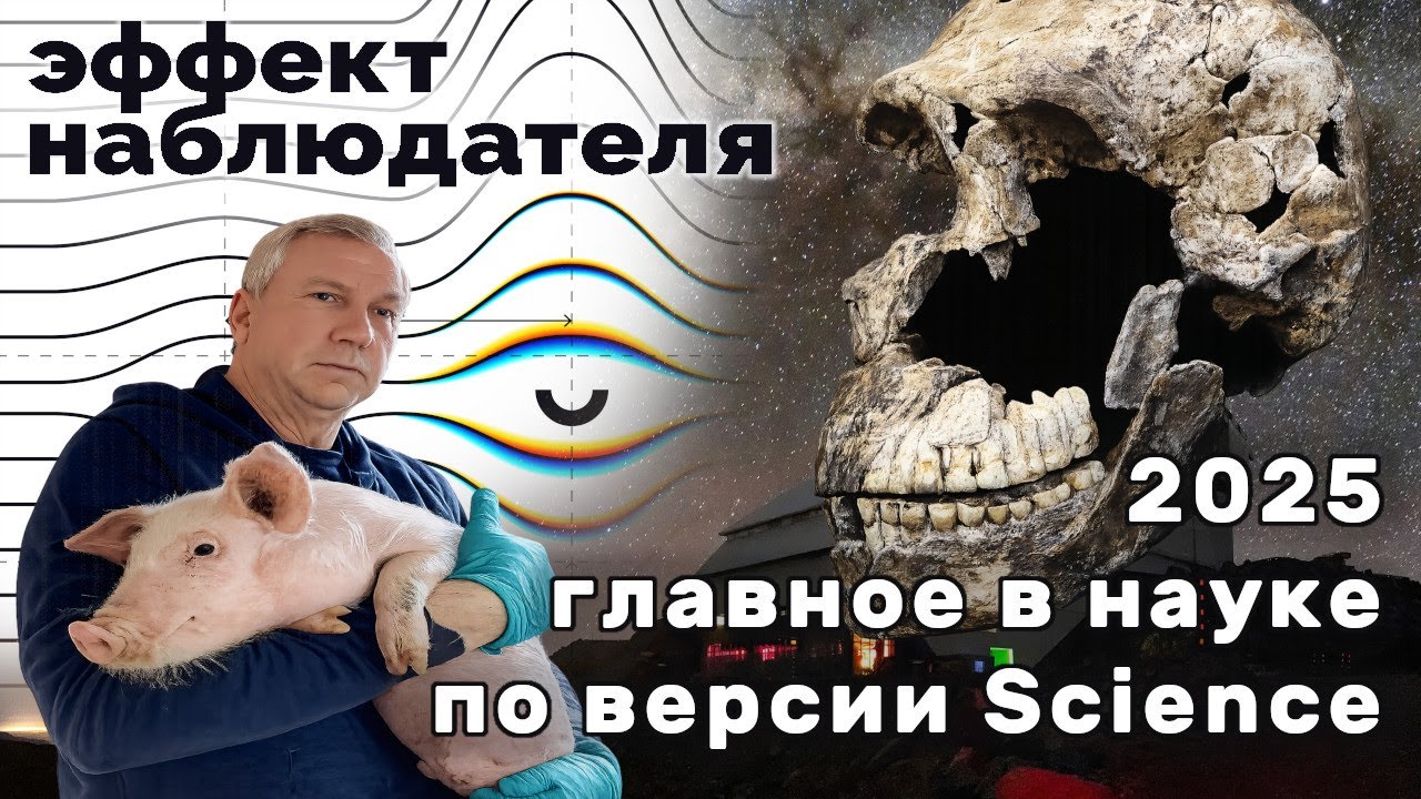 Научные итоги 2025 года &mdash; Эффект наблюдателя