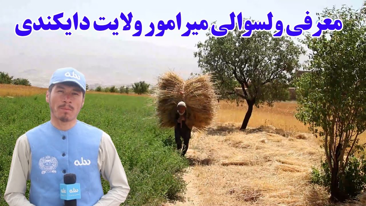 میهن من؛ معرفی ولسوالی میرامور ولایت دایکندی
