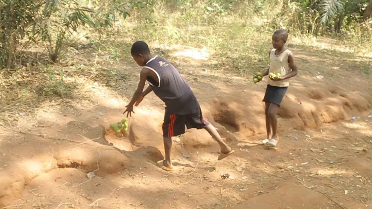 There custom is unique , Ukpukpa Plantation (Ogbono Plantation)in Enugu-Ezike #culture #viralpost