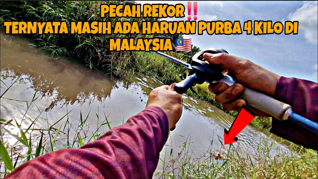 CASTING HARUAN || PECAH REKOR ‼️TERNYATA MASIH AFA HARUAN PURBA 4 KILO DI MALAYSIA 🇲🇾