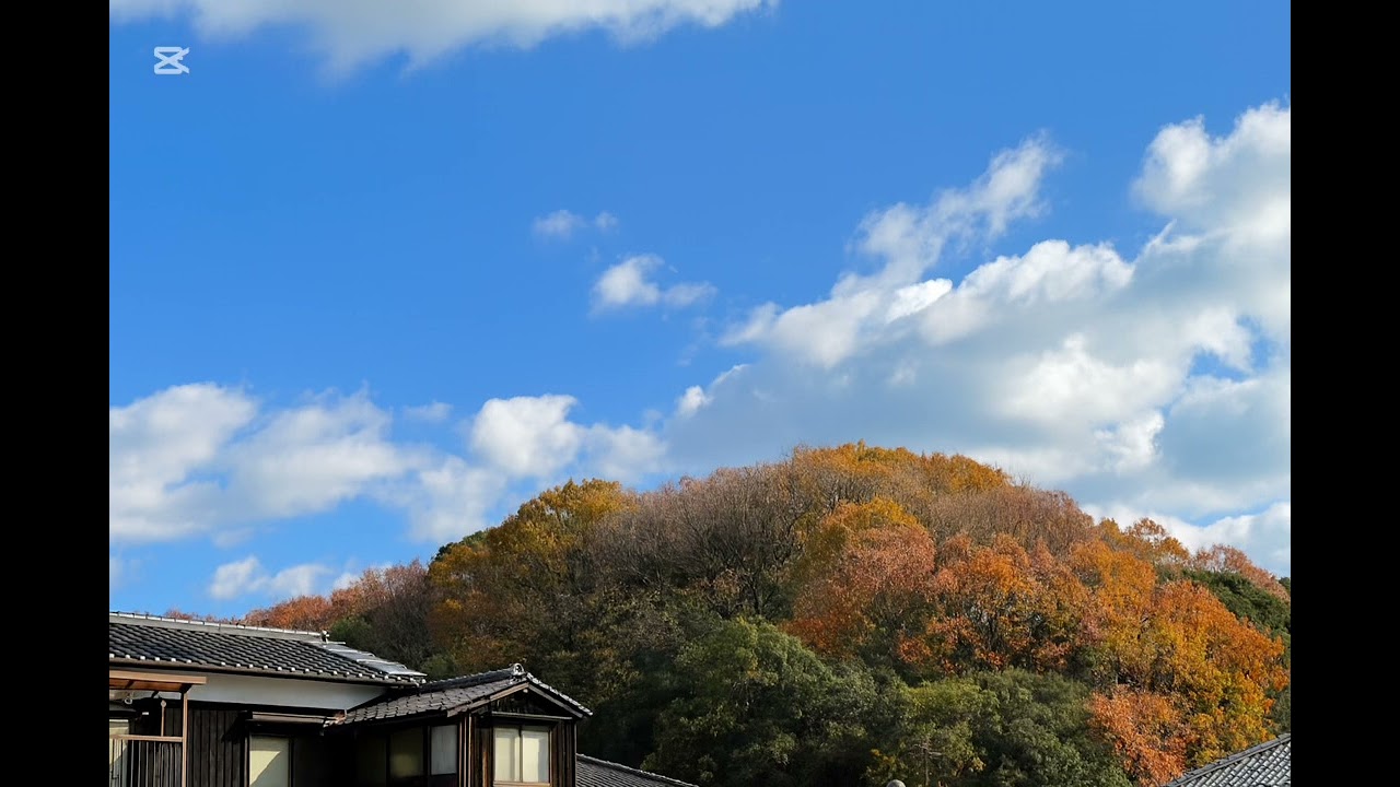 あなをかし 月の影簾にさし入りぬ