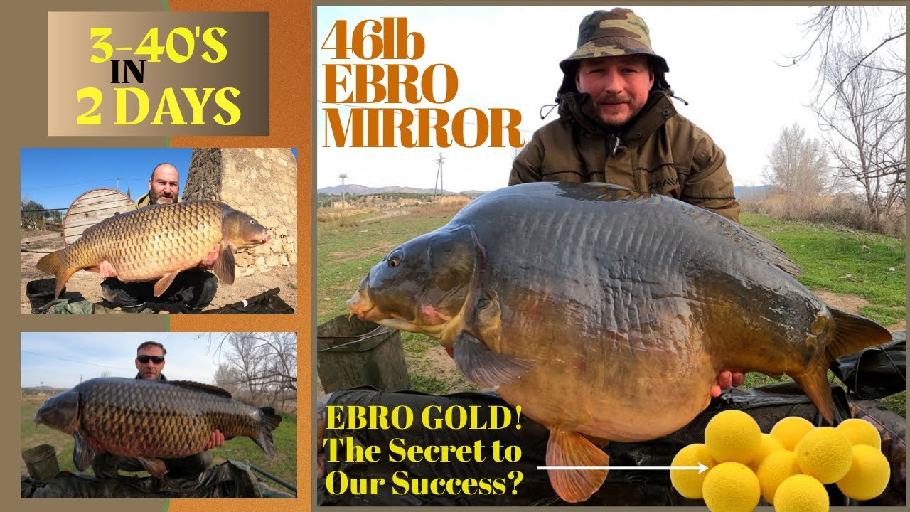 46 lb Ebro Mirror! 3-40's in 2 Days!