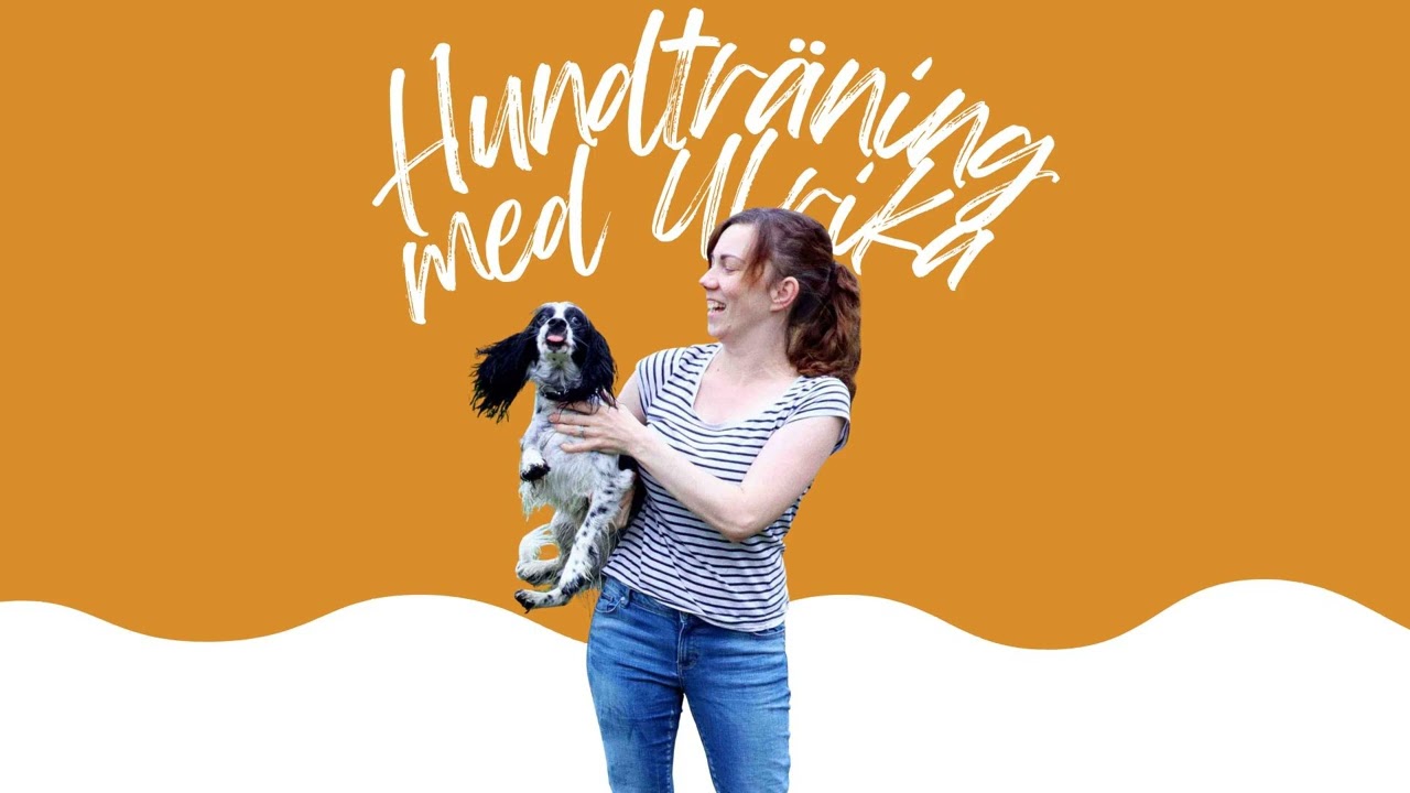 REPRIS: 3 övningar för lugna besök i jul